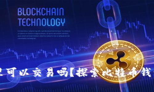 比特币在钱包里可以交易吗?探索比特币钱包的功能与使用