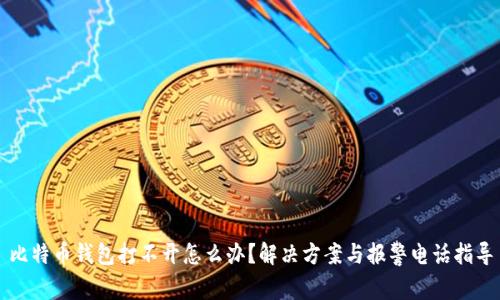 比特币钱包打不开怎么办?解决方案与报警电话指导