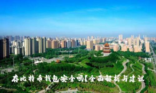 存比特币钱包安全吗?全面解析与建议