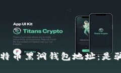 biospi揭秘比特币黑洞钱包地址：是骗局还是机会