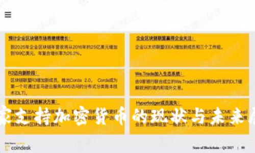 国家支持加密货币的现状与未来展望