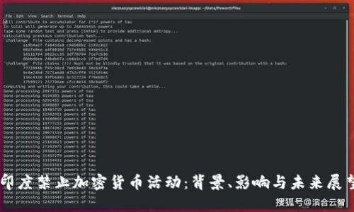 印度禁止加密货币活动：背景、影响与未来展望