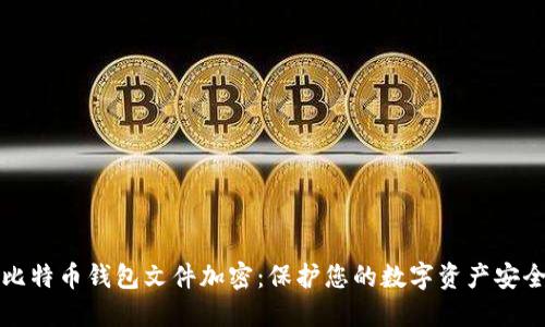 比特币钱包文件加密:保护您的数字资产安全