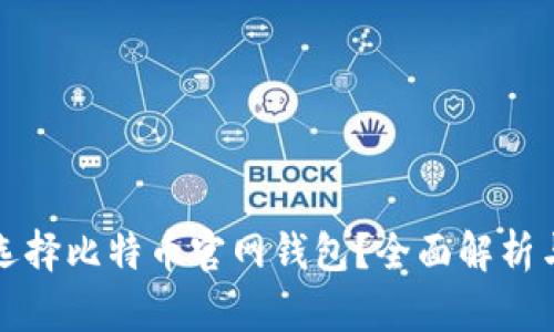 如何选择比特币官网钱包?全面解析与推荐