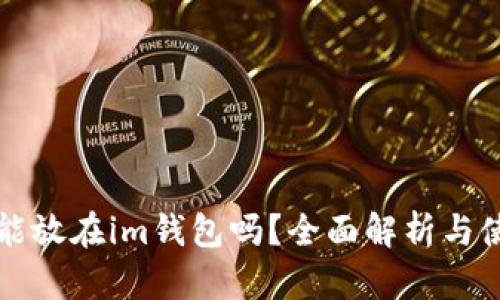 比特币能放在im钱包吗?全面解析与使用指南