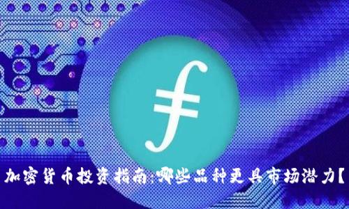 加密货币投资指南:哪些品种更具市场潜力?