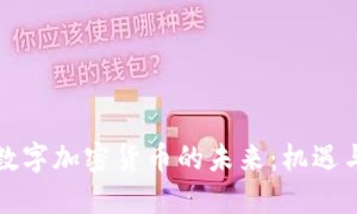全球数字加密货币的未来：机遇与挑战