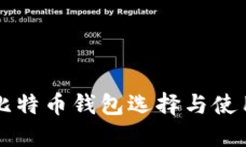 国内比特币钱包选择与使用指南