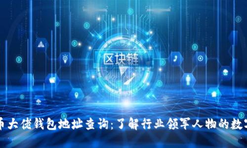 比特币大佬钱包地址查询:了解行业领军人物的数字资产