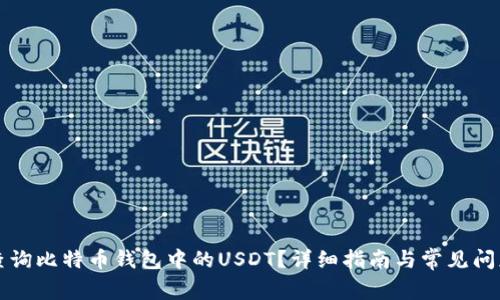 如何查询比特币钱包中的USDT?详细指南与常见问题解析