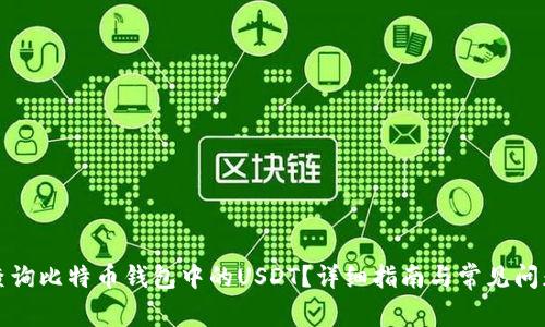 如何查询比特币钱包中的USDT?详细指南与常见问题解析