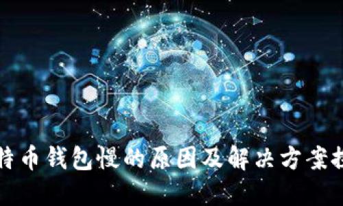 比特币钱包慢的原因及解决方案探讨