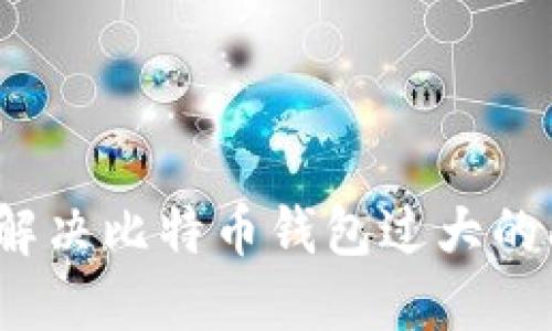 如何解决比特币钱包过大的问题?