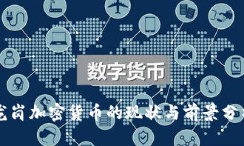 龙岗加密货币的现状与前景分析