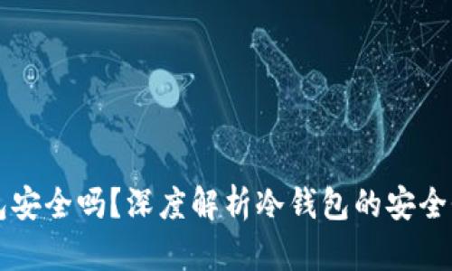 比特币冷钱包安全吗?深度解析冷钱包的安全性与使用指南