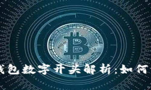 比特币链钱包数字开头解析:如何识别与使用