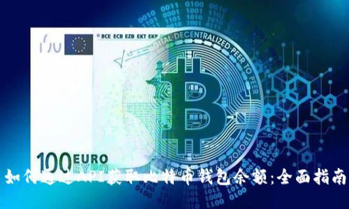 如何通过API获取比特币钱包余额:全面指南