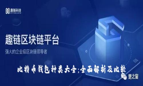 比特币钱包种类大全:全面解析及比较