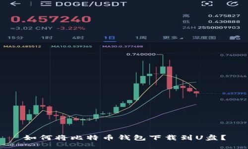 如何将比特币钱包下载到U盘?