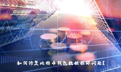 如何修复比特币钱包数据损坏问题?