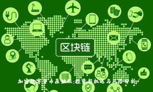 加密数字货币原始股:投资新机遇与风险分析