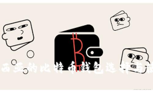 印度尼西亚的比特币钱包选择与使用指南