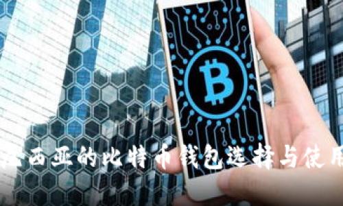 印度尼西亚的比特币钱包选择与使用指南