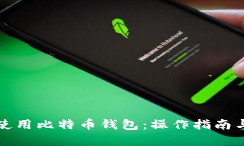 如何安全使用比特币钱包:操作指南与最佳实践