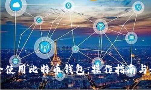 如何安全使用比特币钱包:操作指南与最佳实践