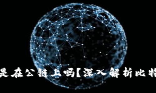 : 比特币钱包是在公链上吗?深入解析比特币钱包的本质