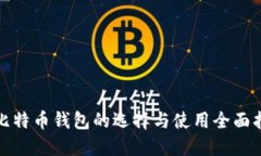 : 比特币钱包的选择与使用全面指南