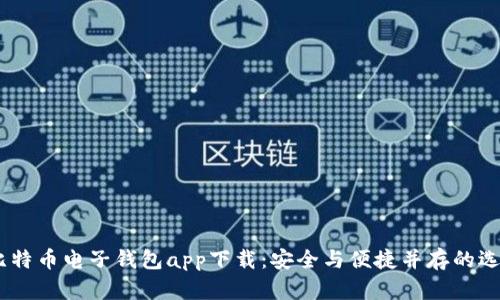 :比特币电子钱包app下载:安全与便捷并存的选择