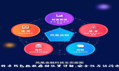 比特币钱包数据存储位置详解:安全性与访问方式