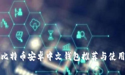 最佳比特币安卓中文钱包推荐与使用指南