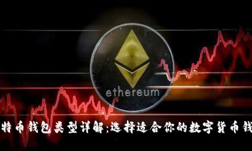 比特币钱包类型详解:选择适合你的数字货币钱包
