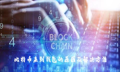 比特币未到钱包的原因及解决方法