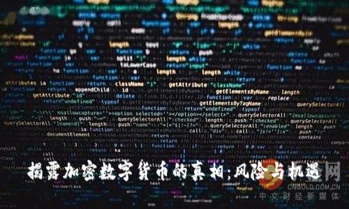 揭露加密数字货币的真相:风险与机遇