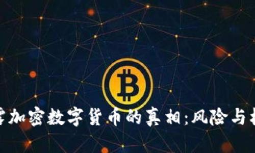 揭露加密数字货币的真相:风险与机遇