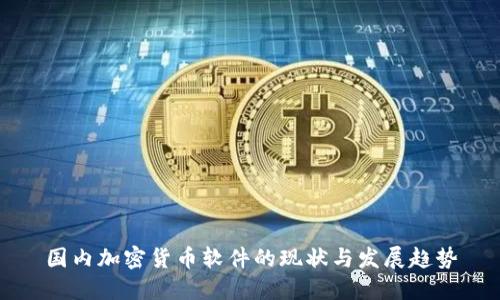 国内加密货币软件的现状与发展趋势