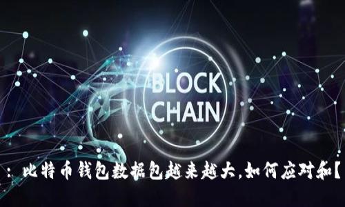 : 比特币钱包数据包越来越大,如何应对和?