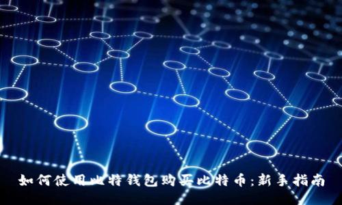 如何使用比特钱包购买比特币:新手指南