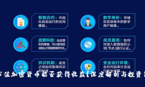 小市值加密货币能否获得收益?深度解析与投资策略