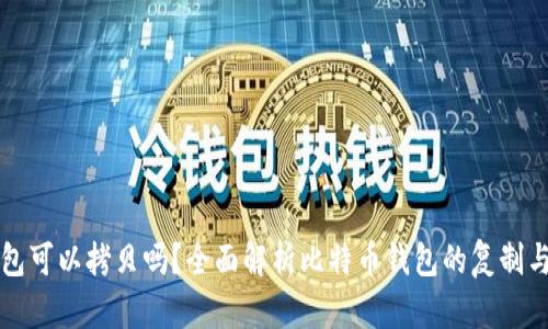 比特币钱包可以拷贝吗?全面解析比特币钱包的复制与备份问题
