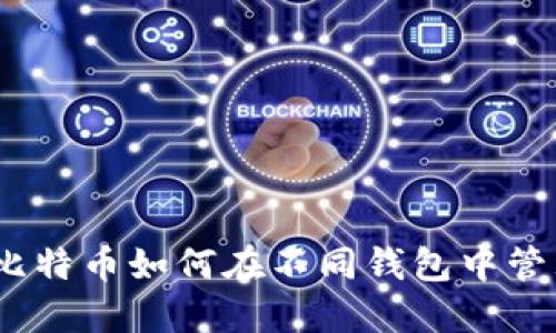 : 同一个比特币如何在不同钱包中管理与使用?