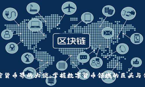 加密货币界的大佬:掌握数字货币领域的巨头与传奇