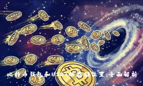 比特币钱包和USDT的存储位置:全面解析