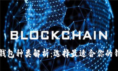比特币钱包种类解析:选择最适合你的钱包类型