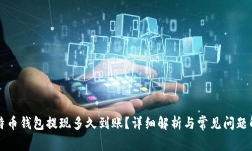 比特币钱包提现多久到账?详细解析与常见问题解答