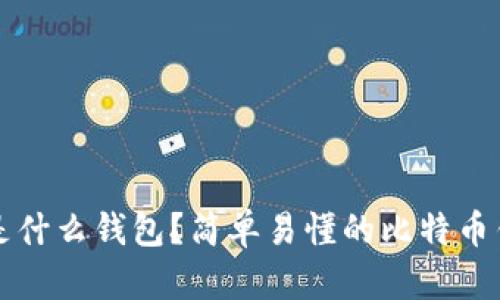 比特币是什么钱包?简单易懂的比特币钱包指南