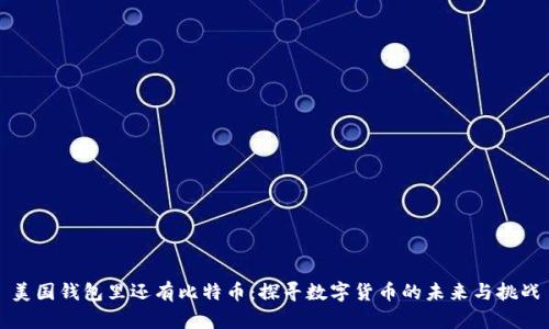 美国钱包里还有比特币：探寻数字货币的未来与挑战